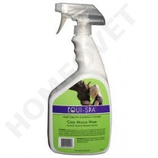 Equi spa cool muscle wash 944 ml